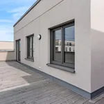 Rent 1 bedroom apartment of 75 m² in Berlin