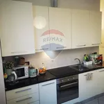 Rent 3 bedroom apartment of 85 m² in Bologna