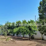 Rent 6 bedroom house of 200 m² in Mazara del Vallo