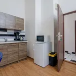 Studio o rozloze 18 m² v prague