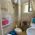 Rent 3 bedroom apartment of 70 m² in Anzio