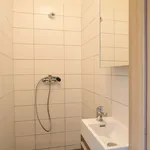 Rent 1 bedroom apartment of 29 m² in Pilsen