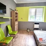 Rent 1 bedroom apartment in Libákovice