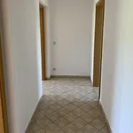 Rent 2 bedroom apartment of 49 m² in Roßwein