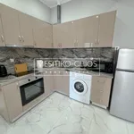 Rent 1 bedroom apartment of 40 m² in M unicipal Unit of Makrakomi