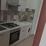 Rent 1 bedroom apartment of 35 m² in Frosinone