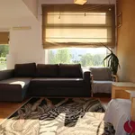 Rent 1 bedroom apartment of 37 m² in Poznan