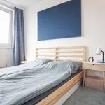 Rent 2 bedroom apartment of 46 m² in berlin