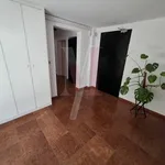 Rent 2 bedroom apartment of 46 m² in Bologna