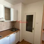 Rent 1 bedroom apartment in Capital City of Prague