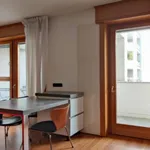 Rent 1 bedroom apartment in Milan