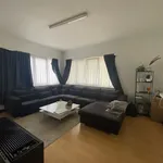 Rent 1 bedroom apartment in Borgerhout