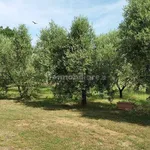 4-room flat via Vallelunga, Montalto di Castro