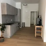 Appartement de 95 m² avec 4 chambre(s) en location à Zaventem