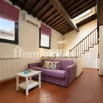 Rent 1 bedroom house of 47 m² in Florence