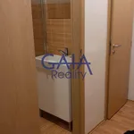 Rent 2 bedroom apartment of 34 m² in Trhový Štěpánov