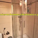 Rent 1 bedroom apartment of 22 m² in Katowice