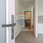 Porzione di casa in Affitto Viadana 33631032-78 | RE/MAX Italia