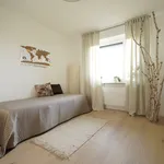 Rent 3 bedroom apartment of 86 m² in Nürnberg