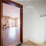 Rent 1 bedroom apartment of 24 m² in Rome