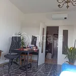 Rent 3 bedroom apartment of 85 m² in Pisa