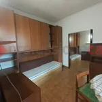 Rent 1 bedroom apartment of 27 m² in Milano