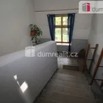 Rent 4 bedroom apartment in Dalovice