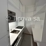 Rent 2 bedroom apartment of 30 m² in Lugano