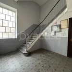 Rent 2 bedroom apartment of 60 m² in Torino