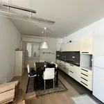 Rent 3 bedroom apartment of 100 m² in Padova