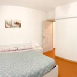 Rent 2 bedroom apartment of 45 m² in Pisa