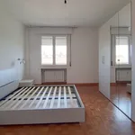 Rent 2 bedroom apartment of 92 m² in treviso