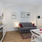 Rent 1 bedroom apartment of 40 m² in Torino