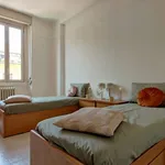 Rent 1 bedroom apartment in milan