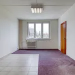 Pronajměte si 2 ložnic/e byt o rozloze 41 m² v Pilsen