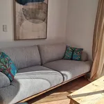 Rent 1 bedroom apartment in Auckland