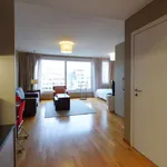 Studio of 80 m² in brussels