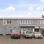 Rent 3 bedroom apartment of 81 m² in Hippolytushoef Centrum 