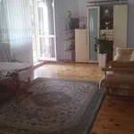 Rent 3 bedroom apartment of 81 m² in Piotrków Trybunalski