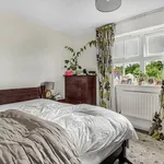 Rent 3 bedroom house in Brighton