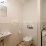 Rent 3 bedroom apartment of 115 m² in Praha