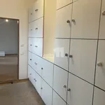 Rent 2 bedroom apartment of 90 m² in Capital City of Prague