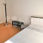 Rent 1 bedroom apartment in Ostrava