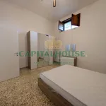 Rent 2 bedroom apartment of 95 m² in Cicciano