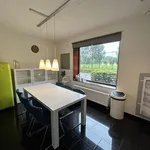 Rent 3 bedroom house of 149 m² in Maastricht