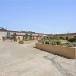 Rent 2 bedroom apartment of 126 m² in redondo beach