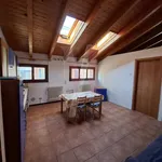 Rent 2 bedroom apartment of 46 m² in Bologna