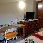 Rent 2 bedroom apartment of 50 m² in Novara