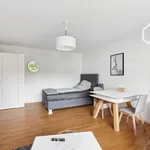 Rent 1 bedroom apartment of 44 m² in München