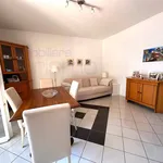 Rent 4 bedroom apartment of 70 m² in Riccione